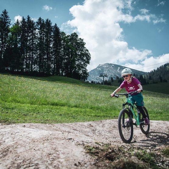 Im Bike-Park am Wiriehorn gibt es für Jung und Alt, Anfänger und Profi die passende Strecke. 