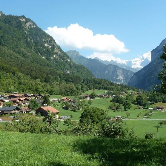 Das idyllische Dorf Gsteigwiler im Sommer mit grandiosem Bergpanorama