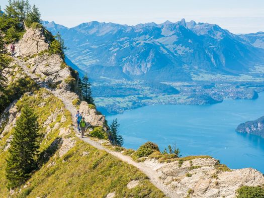 Freundesgruppe wandert auf der Schynige Platte mit Aussicht auf den Thunersee und verschiedenen Bergspitzen