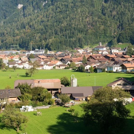 Herrlicher Ausblick auf das Dorf Wilderswil während einem Dorfrundgang