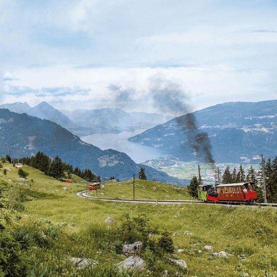 Dampfende Lokomotive unterwegs mit Blick auf den Thunersee und grünen Alpwiesen