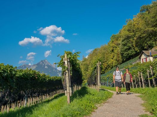 Junges Paar wandert durch die Weinreben und geniesst das herrliche Herbstwetter