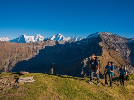 Panoramablick auf Eiger, Mönch und Jungfrau vom Morgenberghorn