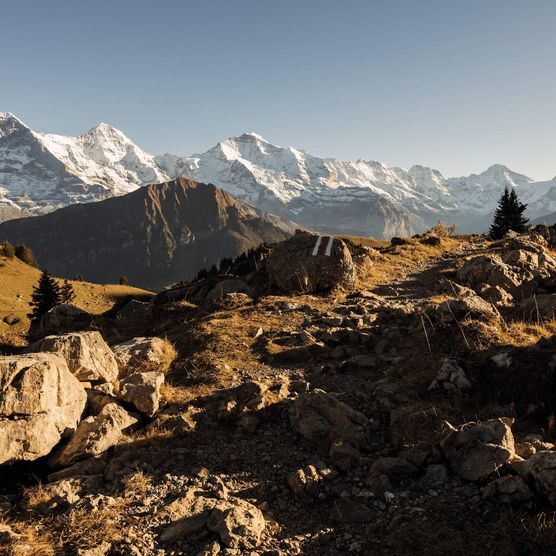 Panorama auf der Schynige Platte mit Eiger, Mönch und Jungfrau