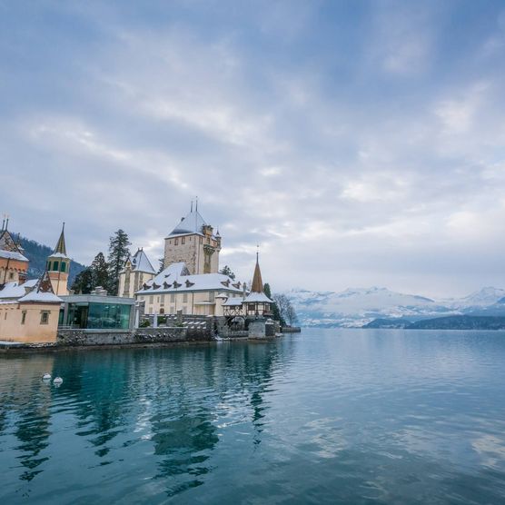 Schloss Oberhofen sanft verschneit im Wintermood am spiegelglatten Thunersee