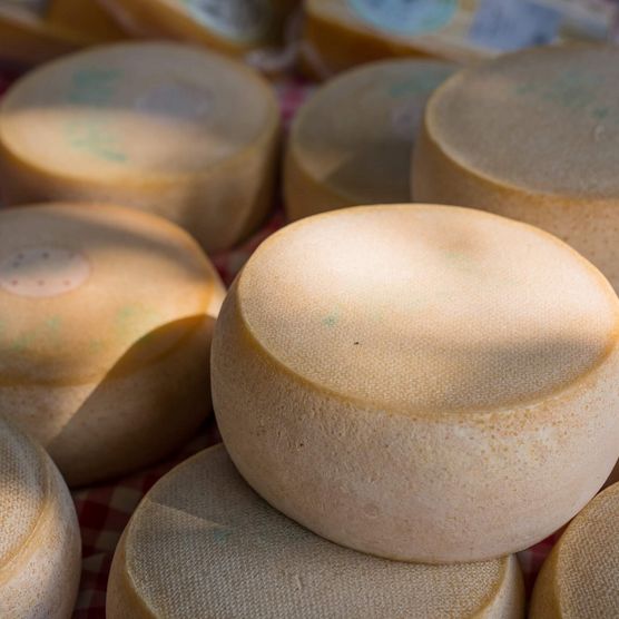 Käse wird am Älpler Markt im Suldtal verkauft