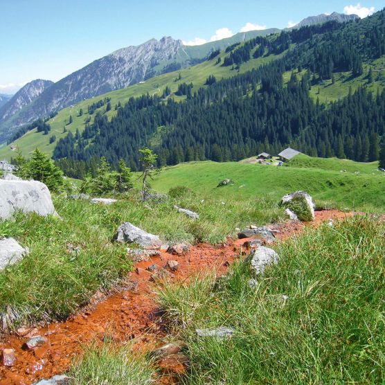 Kraftort rote Quellen fliessen durch grüne Alpwiese im Naturpark Diemtigtal