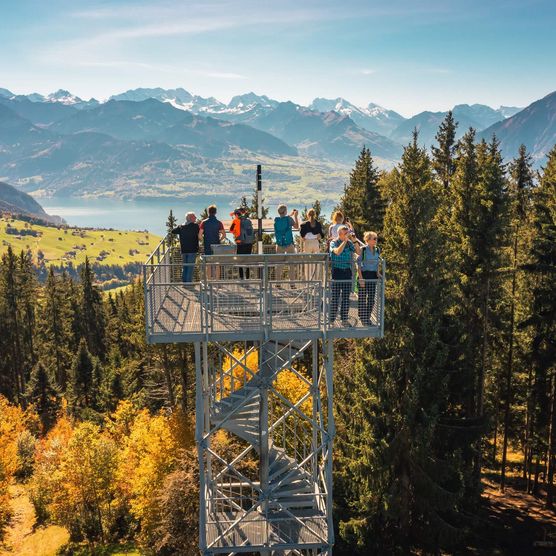 Aussichtsturm Blueme in Sigriswil im Herbst mit Blick auf den Thunersee