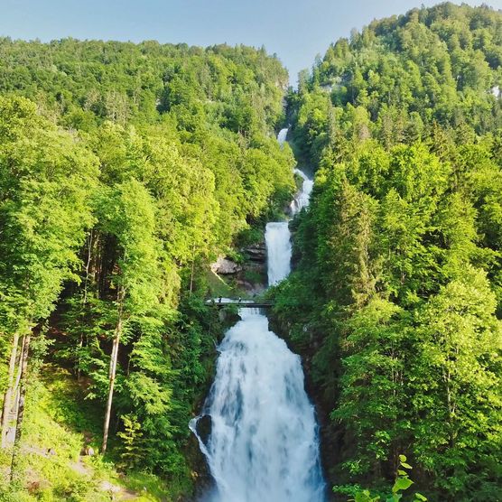 Giessbachfall fliesst durch einen Wald zwischen grünen Bäumen