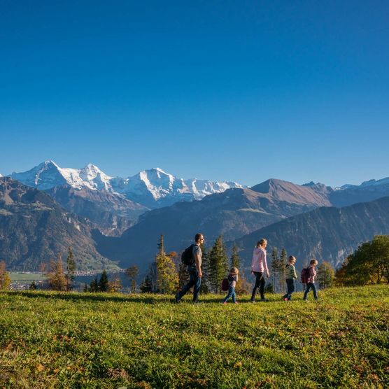 Familie wandert am Amisbühl bei Beatenberg und geniesst den Panoramablick auf Eiger, Mönch und Jungfrau