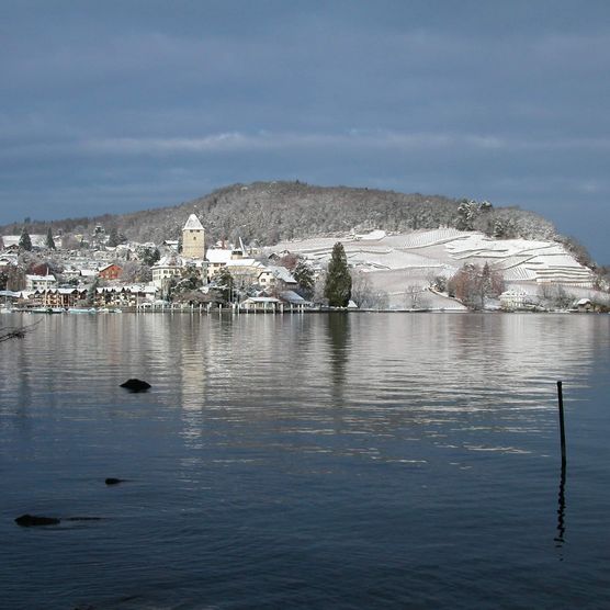 Stimmungsvoller Wintertag in der Spiezer Bucht mit Sicht auf Schloss Spiez