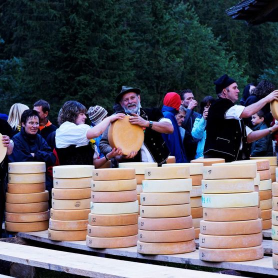 Älpler mit aufgetürmten Käse im Justistal