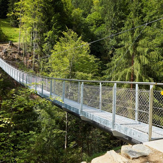 Die Hängebrücke über den Sundgraben in Beatenberg