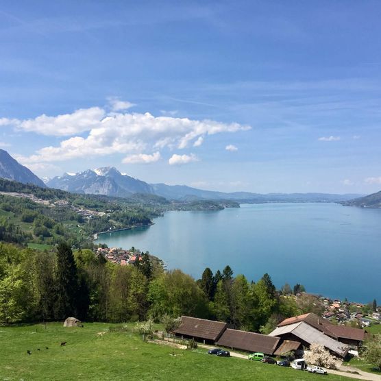 Ausblick auf den blauen Thunersee von der Meielisalp