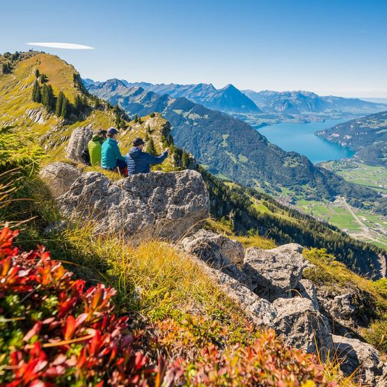 Wanderung von der Schynige Platte zum Oberberghorn