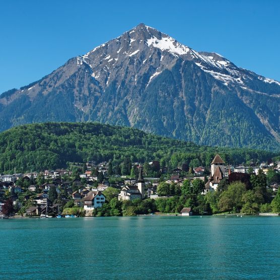 Blick vom Thunersee Richtung pyramidenförmigen Niesen im Sommer