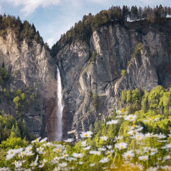 Milibachfall mit Blumen im Vordergrund