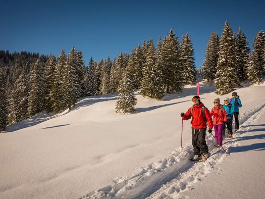 Schneeschuhwanderer unterwegs in der verschneiten Alplandschaft auf der Lombachalp