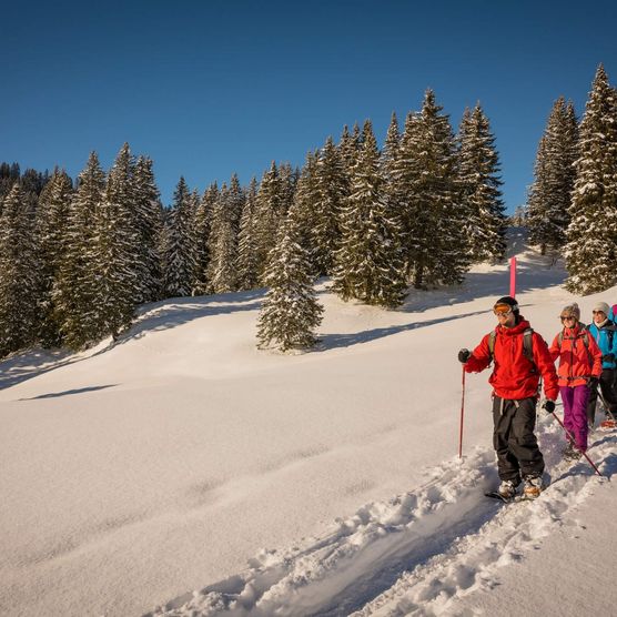 Schneeschuhwanderer unterwegs in der verschneiten Alplandschaft auf der Lombachalp