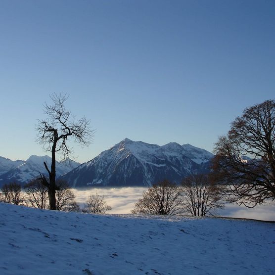 Eindrücklicher Ausblick vom winterlichen Ort Heiligenschwendi auf den imposanten Niesen