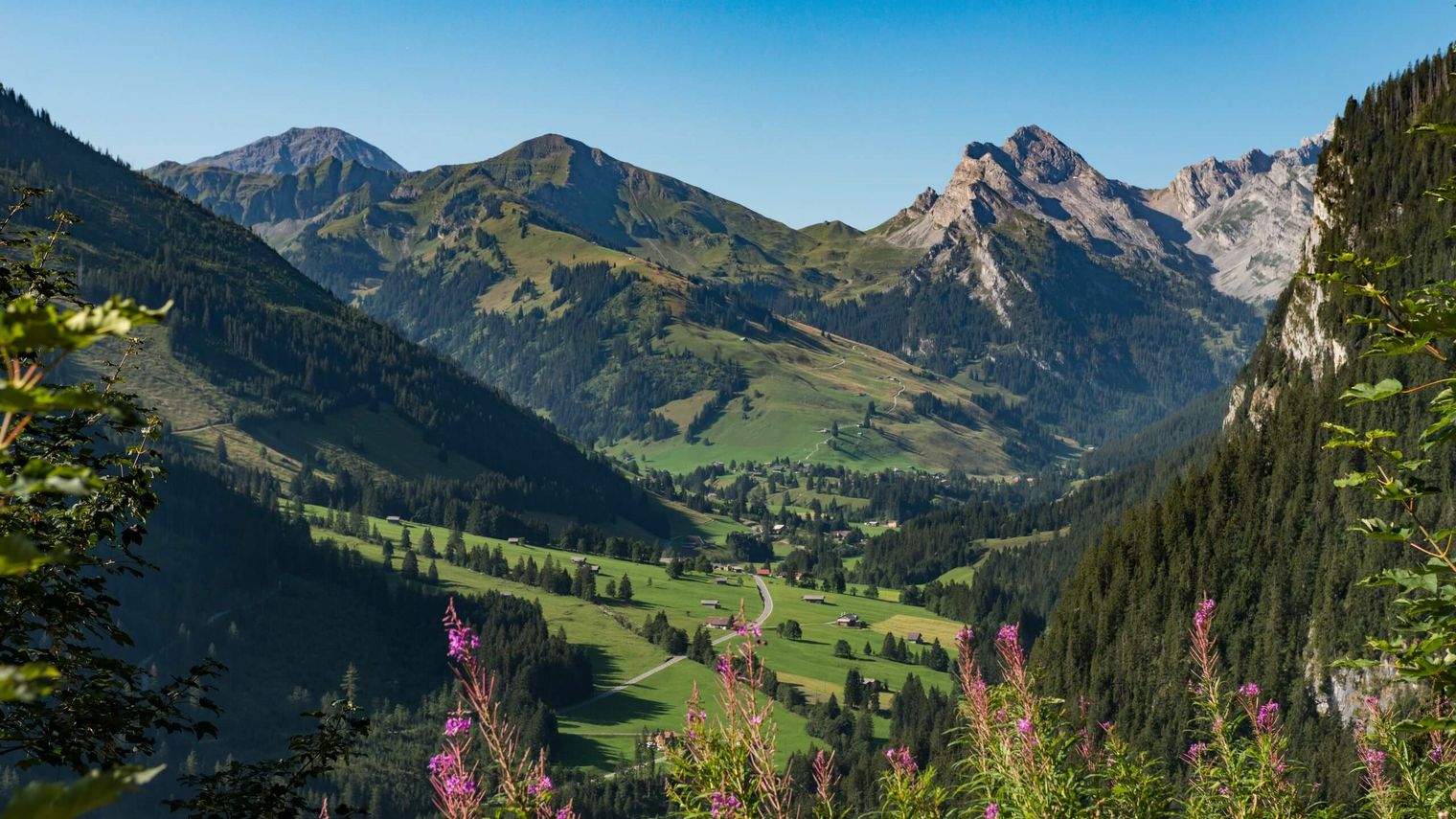 Panoramablick auf die Berggipfel, dichten Wälder und die hügelige Landschaft im Naturpark Diemtigtal