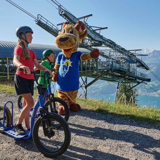 Drei Trotti-Biker mit der Niederhornbahn mit Bergpanorama im Sommer