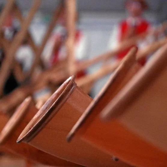 Schweizer Alphorn aus Holz in Interlaken