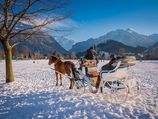 Auf der von Schnee bedeckten Höhematte steht eine Kutsche.