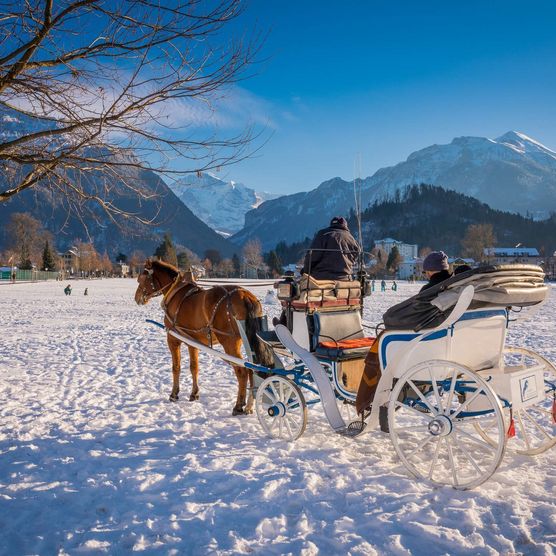 Auf der von Schnee bedeckten Höhematte steht eine Kutsche.