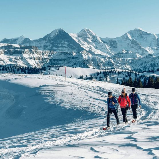 Schneeschuhtour auf der Lombachalp mit Blick auf Eiger, Mönch und Jungfrau