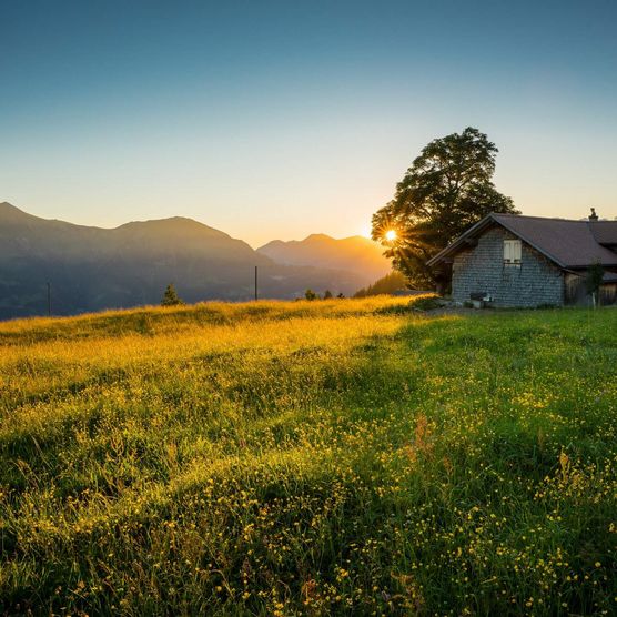 Herbstlicher Sonnenaufgang mit Alphütte auf der Wiese auf der Axalp im Herbst