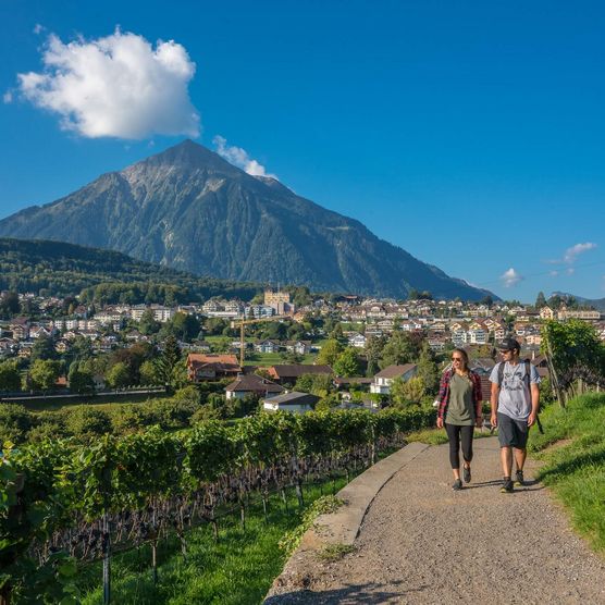 Junges Paar spaziert auf dem Erlebnislehrpfad am Spiezer Rebberg und bewundert den stahlblauen Himmel und den Niesen